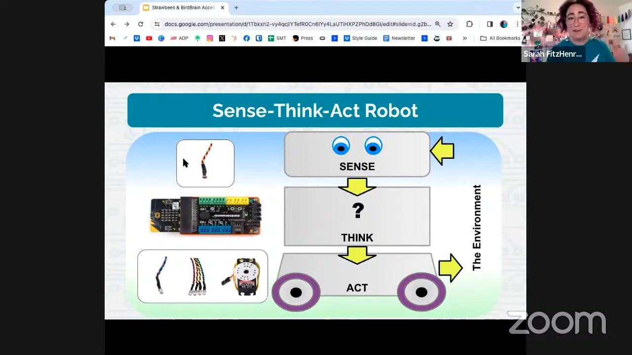webinar_birdbrain_screenshot_01